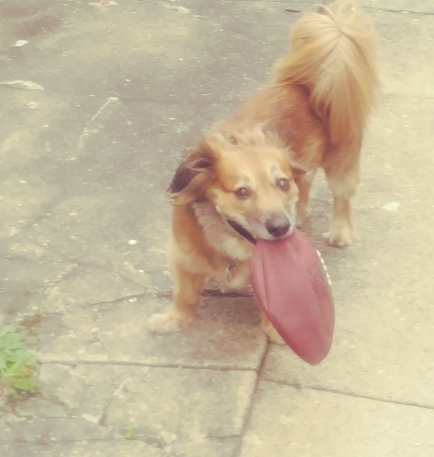 20170826_103712_Film4