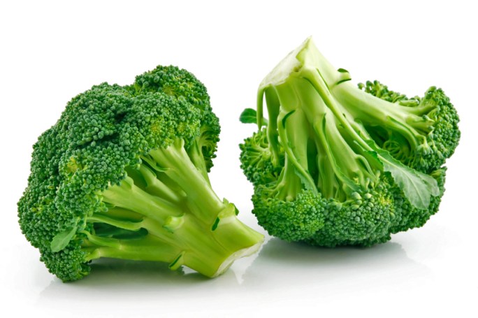 Ripe Broccoli Cabbage Isolated on White