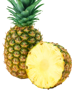 pineapple_PNG2754