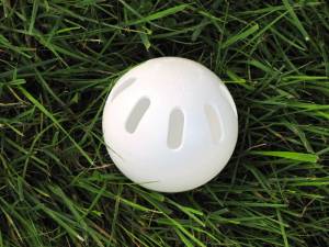 wiffle_ball-1531508425-503